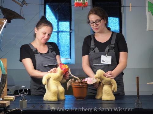 Entdeckung der Blume